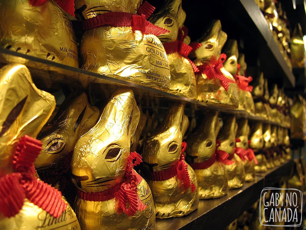 Os coelhos! Vendidos na maioria dos locais por C$7 e no outlet estavam por C$4... e se você comprar mais, sai ainda mais barato!