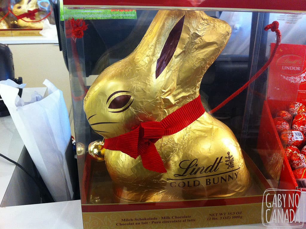 O coelho de 1kg. E, melhor de tudo, estavam fazendo sorteio: bastava rodar uma roleta e acertar. Enquanto estávamos na loja eles distribuíram 2! Nós não ganhamos...